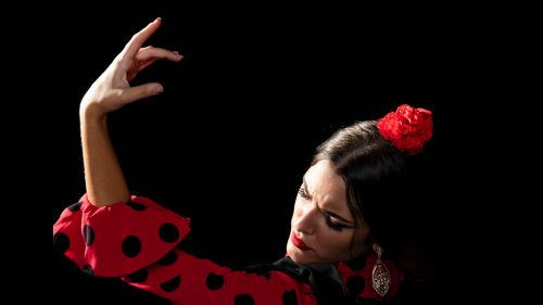 Foto de Bailarina de Flamenco